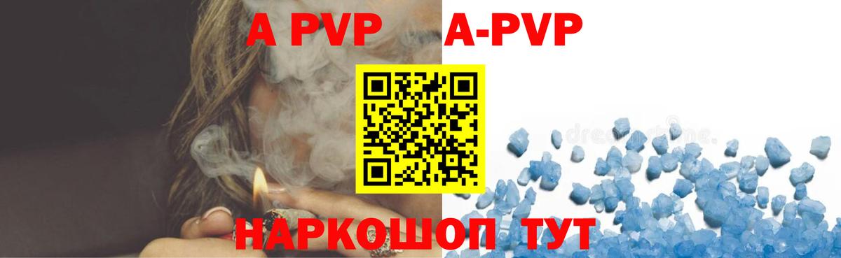 A PVP СК КРИС Вольск