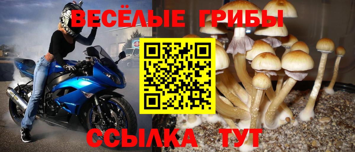 Галлюциногенные грибы мухоморы  Вход с VPN  Вольск  Галлюциногенные грибы Magic Shrooms 